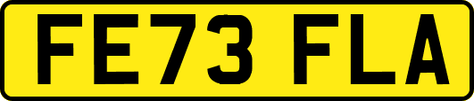 FE73FLA