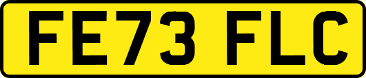 FE73FLC