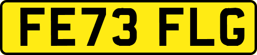 FE73FLG