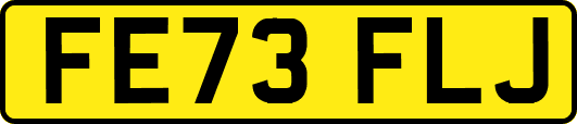 FE73FLJ
