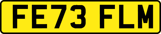 FE73FLM
