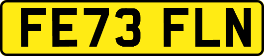 FE73FLN
