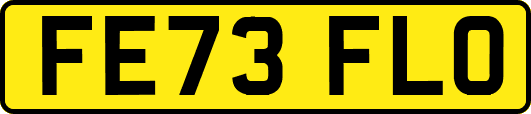 FE73FLO