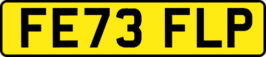 FE73FLP