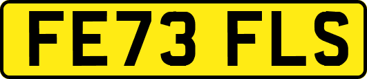 FE73FLS