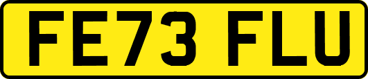 FE73FLU