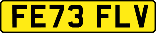 FE73FLV