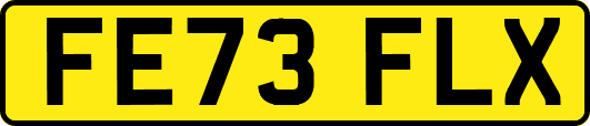 FE73FLX