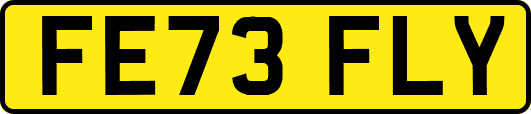 FE73FLY