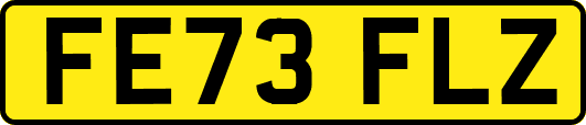 FE73FLZ