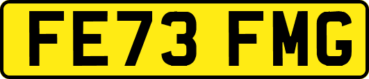FE73FMG