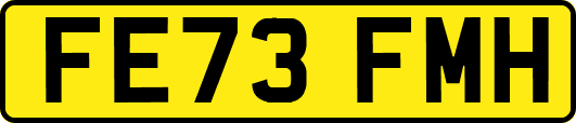 FE73FMH