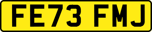 FE73FMJ