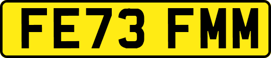 FE73FMM