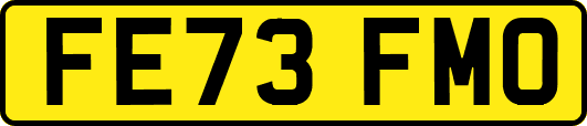 FE73FMO