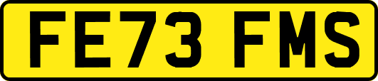 FE73FMS