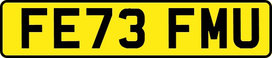 FE73FMU