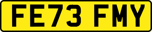 FE73FMY