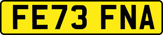 FE73FNA