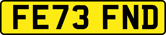 FE73FND