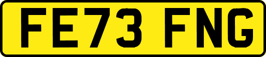 FE73FNG