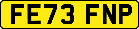 FE73FNP