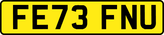 FE73FNU