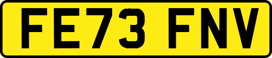 FE73FNV