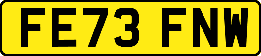 FE73FNW