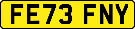 FE73FNY