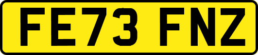 FE73FNZ