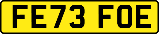 FE73FOE