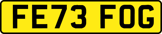 FE73FOG
