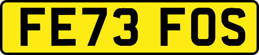 FE73FOS