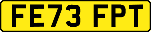 FE73FPT