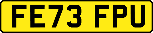 FE73FPU