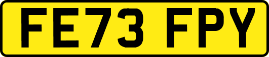 FE73FPY