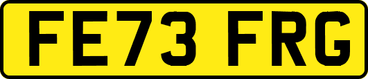 FE73FRG