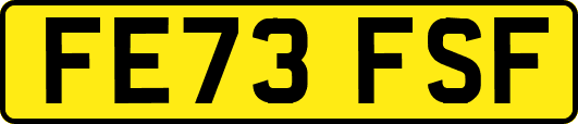 FE73FSF
