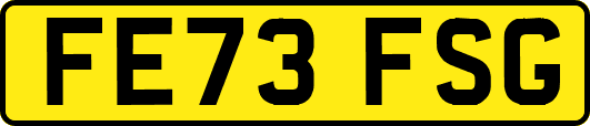 FE73FSG