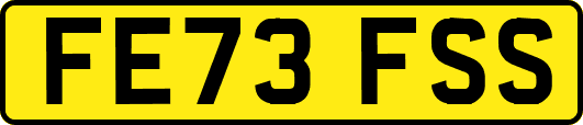 FE73FSS