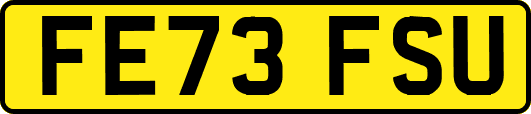 FE73FSU