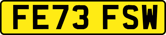 FE73FSW