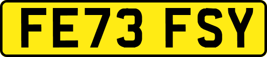 FE73FSY