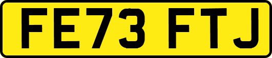 FE73FTJ