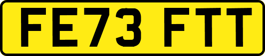 FE73FTT