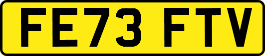 FE73FTV