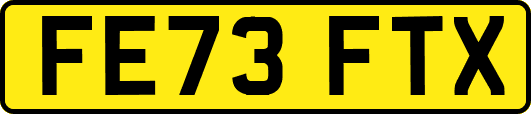 FE73FTX