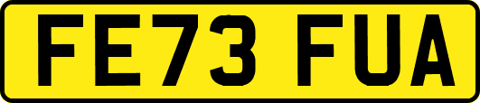 FE73FUA