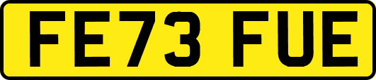 FE73FUE